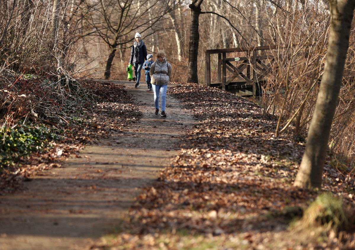 Szeged, séta, újszeged, Holt-Maros, Tisza part, január, tél, időjárás, kirándulás, természet